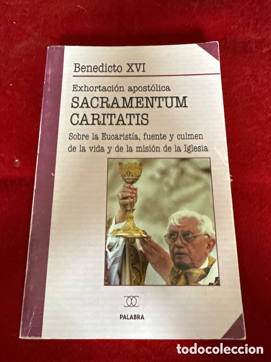 Libros de segunda mano: Exhortaci&oacute;n apost&oacute;lica Sacramentum Caritatis. Papa Benedicto XVI.