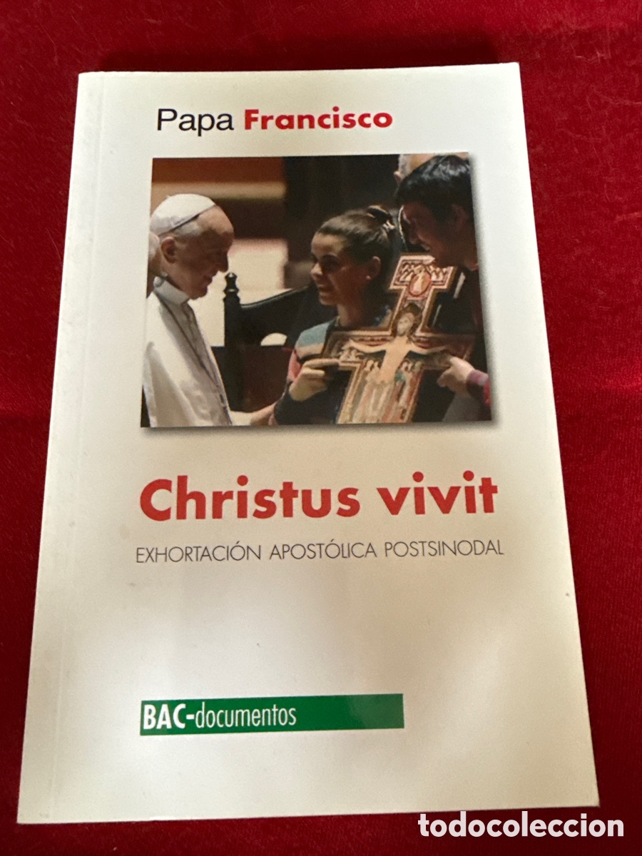 Libros de segunda mano: Exhortaci&oacute;n apost&oacute;lica Podtsinodal Christus vivit. Papa Francisco.