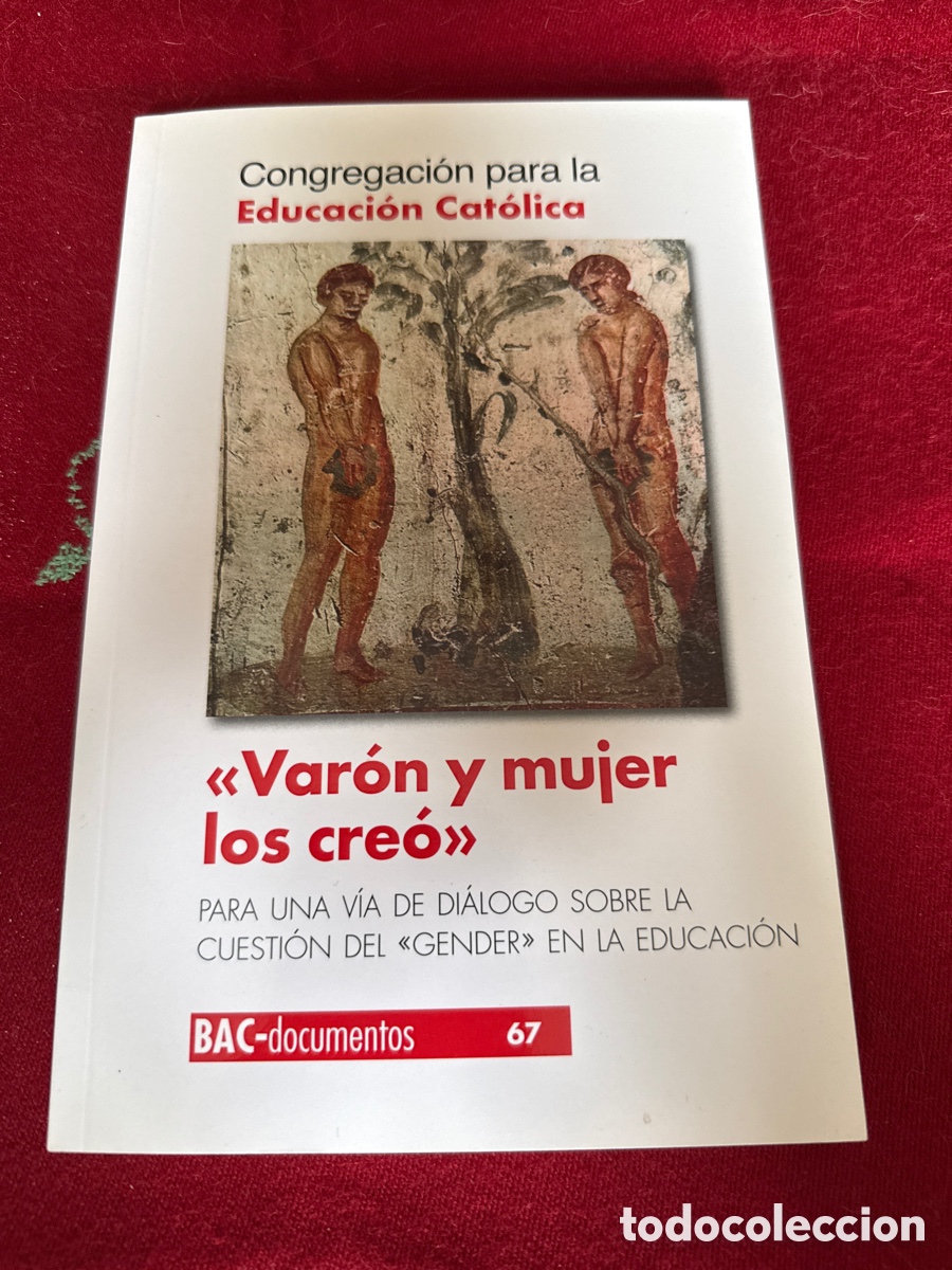 Libros de segunda mano: Var&oacute;n y mujer los cre&oacute;. Congregaci&oacute;n para la educaci&oacute;n cat&oacute;lica.