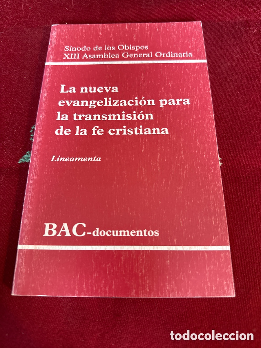 Libros de segunda mano: La nueva evangelizaci&oacute;n para la transmisi&oacute;n de la fe cristiana (Lineamenta).