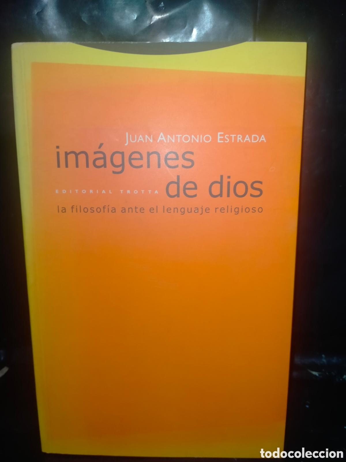 Libros de segunda mano: JUAN ANTONIO ESTRADA. IM&Aacute;GENES DE DIOS (LA FILOSOF&Iacute;A ANTE EL LENGUAJE RELIGIOSO) .TROTTA
