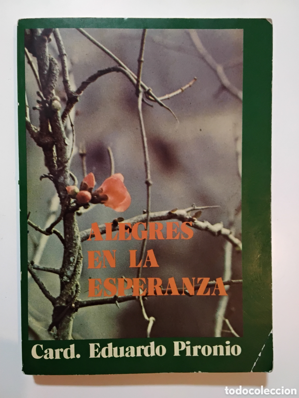 Libros de segunda mano: CARD. EDUARDO PIRONIO &mdash; ALEGRES EN LA ESPERANZA &mdash; EDICIONES PAULINAS &mdash; 1981