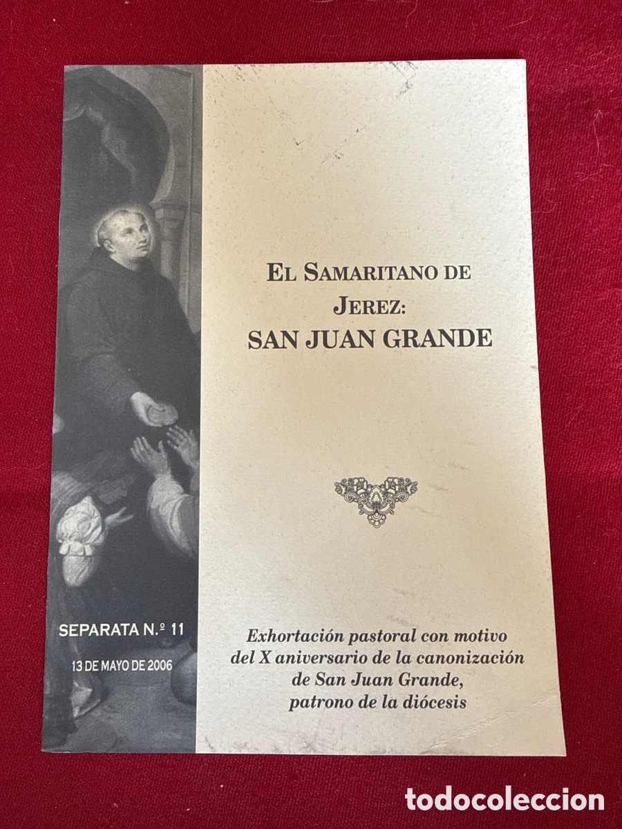 Libros de segunda mano: El Samaritano de Jerez: San Juan Grande. Juan del R&iacute;o Mart&iacute;n, obispo de Jerez.