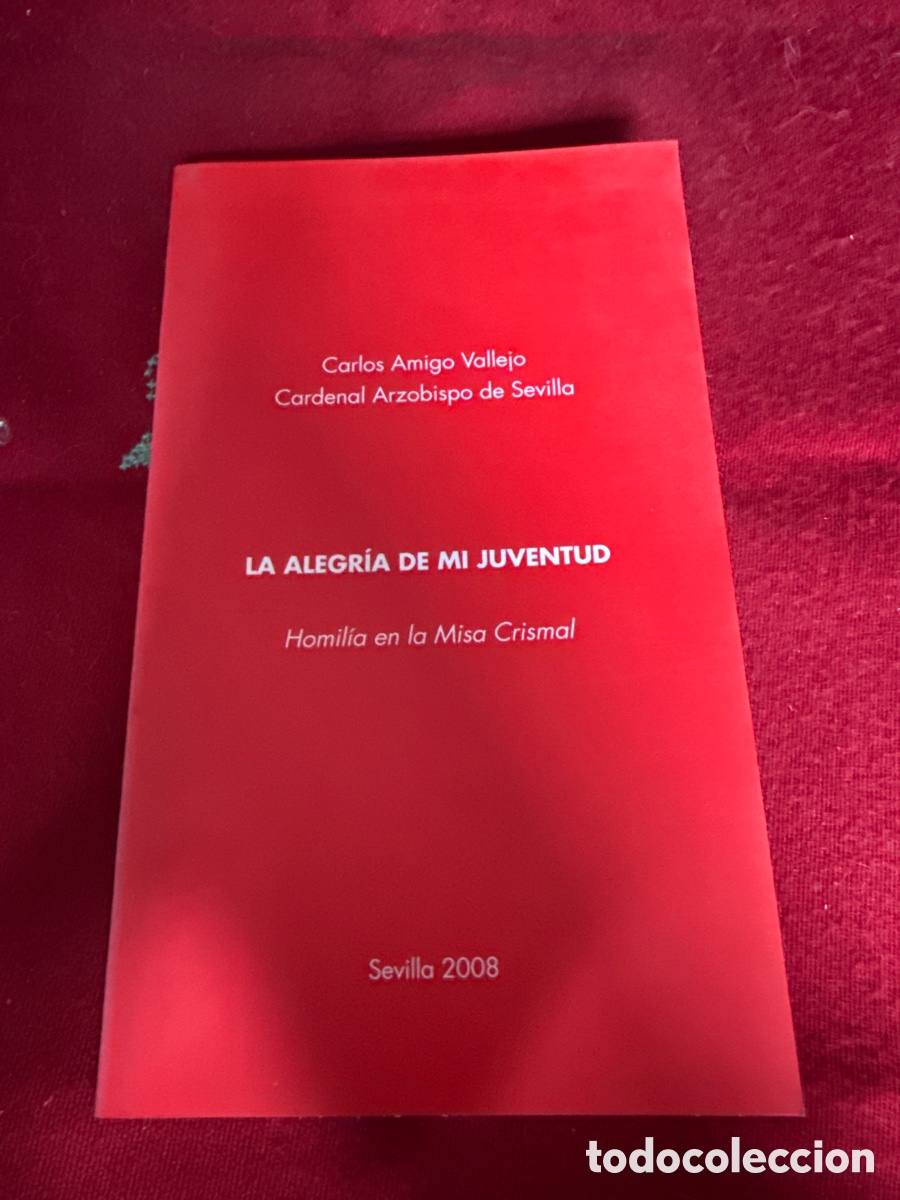 Libros de segunda mano: La alegr&iacute;a de mi juventud. Homil&iacute;a misa Crismal, 2008.