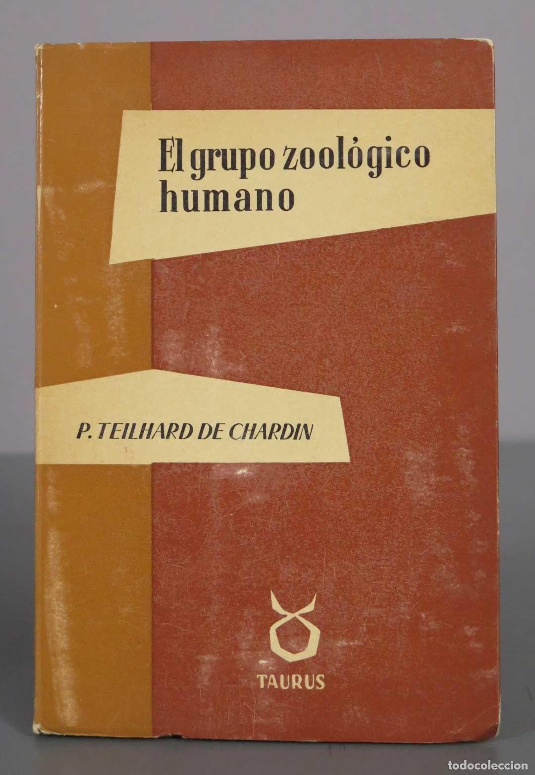 Libros de segunda mano: El grupo zool&oacute;gico humano - Pierre Teilhard de Chardin - Taurus