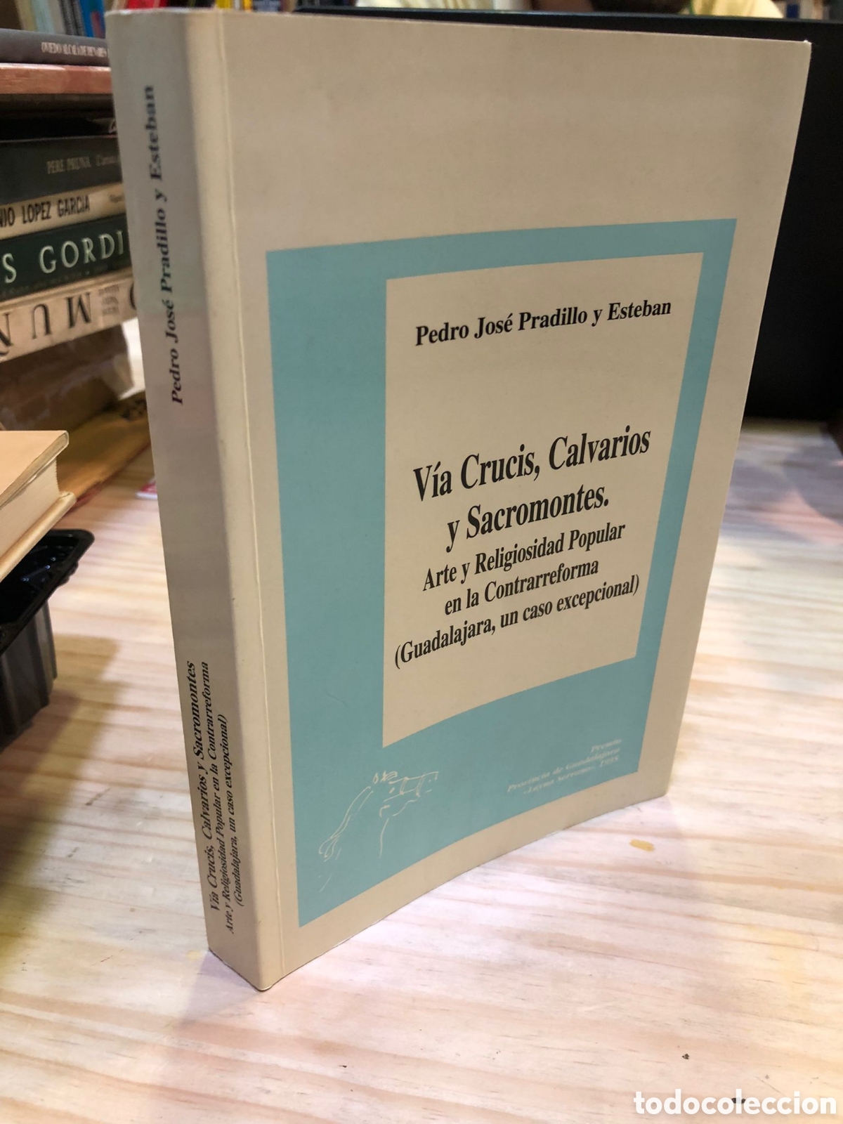 Second hand books: Via crucis, Calvarios y Sacromontes. Arte y religiosidad popular en la... - P. J. Pradillo y Esteban