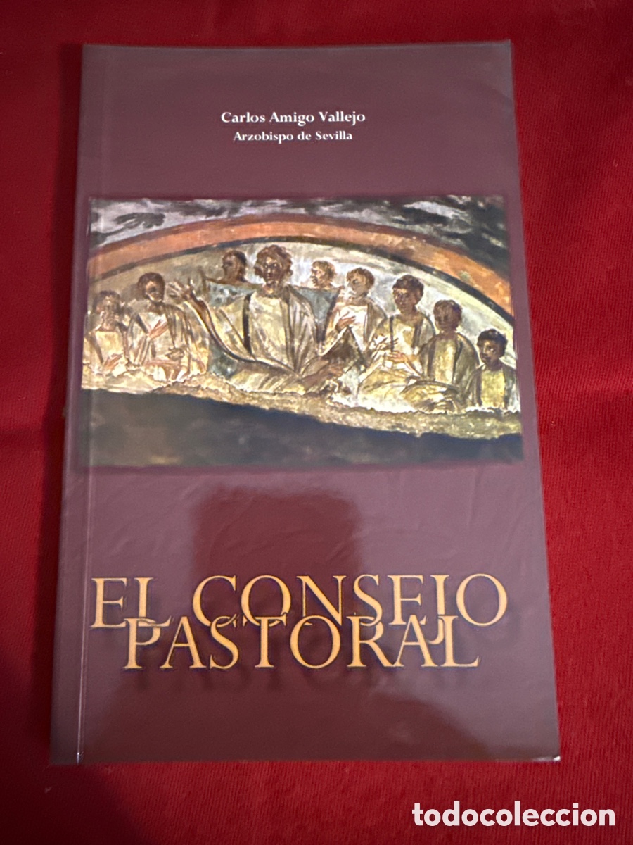 Libros de segunda mano: El Consejo Pastoral.