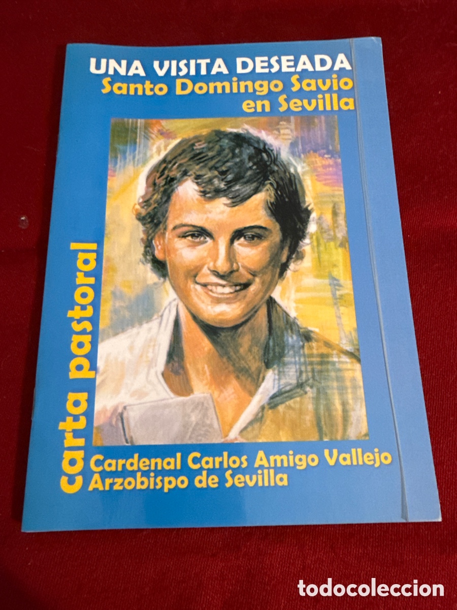 Libros de segunda mano: Una visita deseada. Santo Domingo Savio en Sevilla.