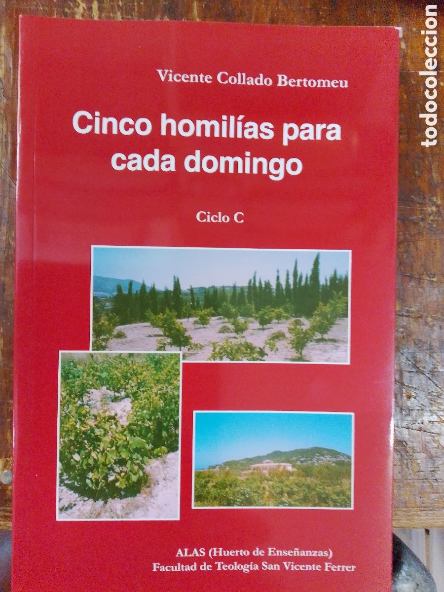 Libros de segunda mano: CINCO HOMILIAS PARA CADA DOMINGO. COLLADO BERTOMEU, VICENTE. CICLO C. VERBO DIVINO. 2018