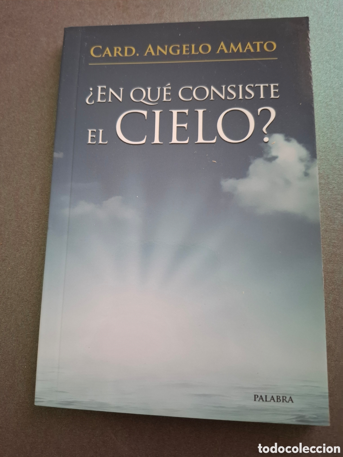 Libros de segunda mano: &iquest;En qu&eacute; consiste el cielo ? - Cardenal Angelo Amato - 2013