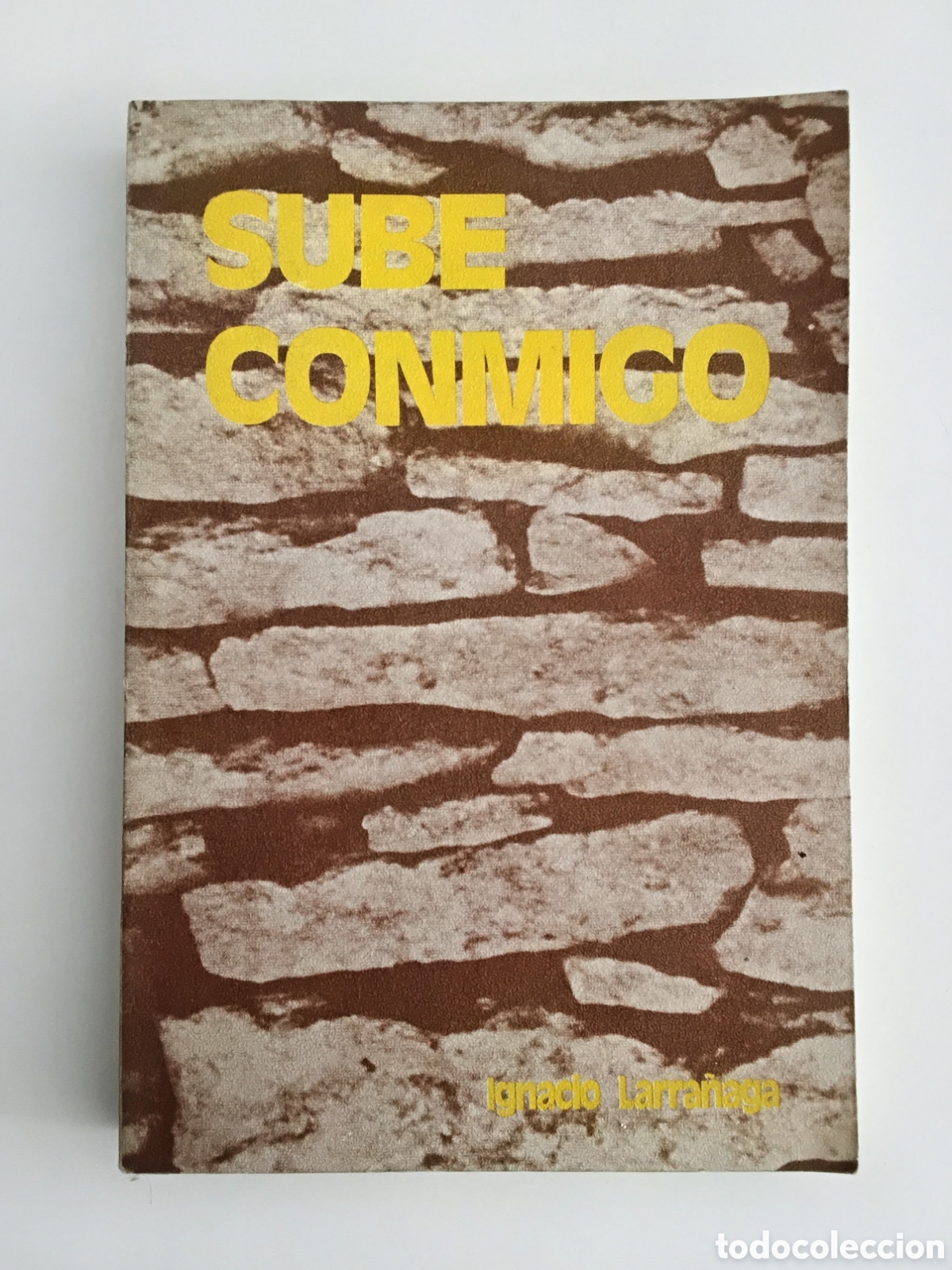 Libros de segunda mano: LARRA&Ntilde;AGA, Ignacio &mdash; Sube conmigo. Para los que viven en com&uacute;n &mdash; Ediciones Paulinas &mdash; 1978