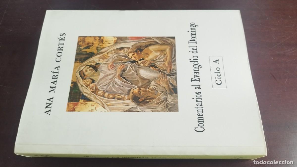 Libros de segunda mano: COMENTARIOS AL EVANGELIO DEL DOMINGO CICLO A / ANA MARIA CORTES / ZUX 20 / MAGARCE