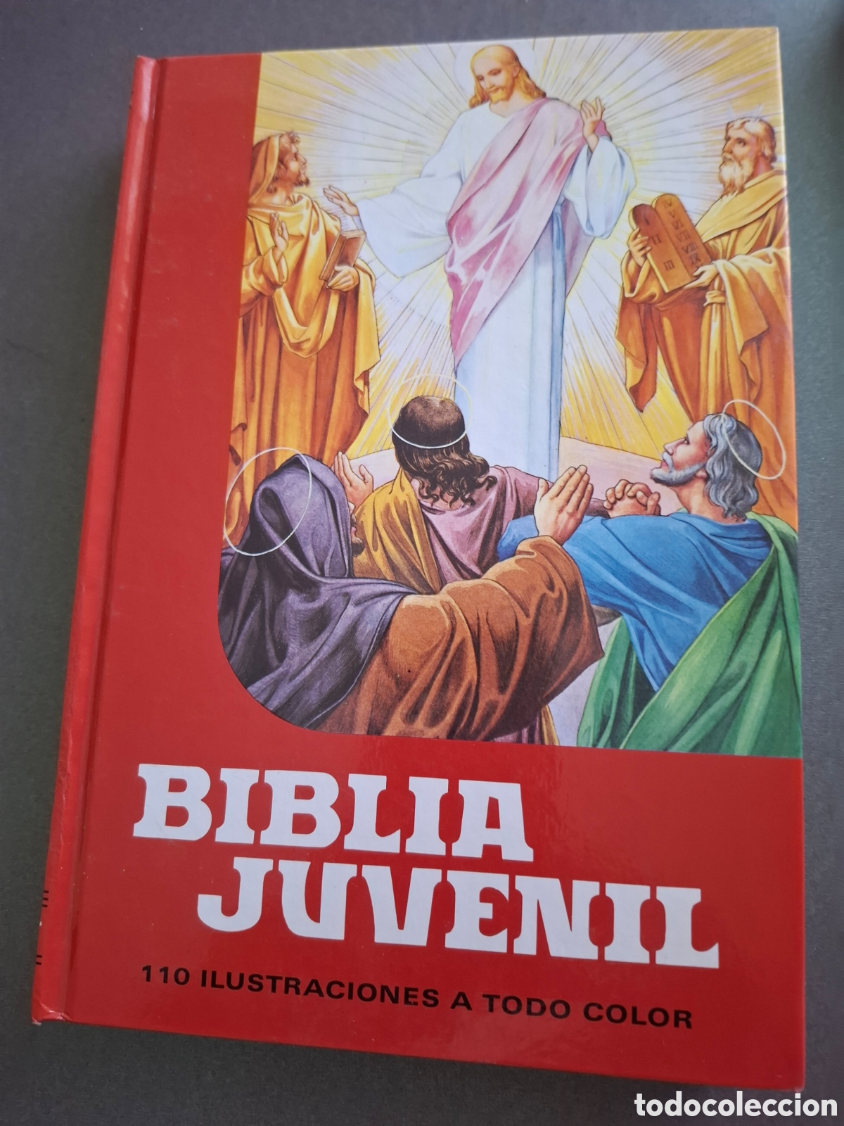 Libros de segunda mano: Biblia juvenil - Mary Theola - 1998