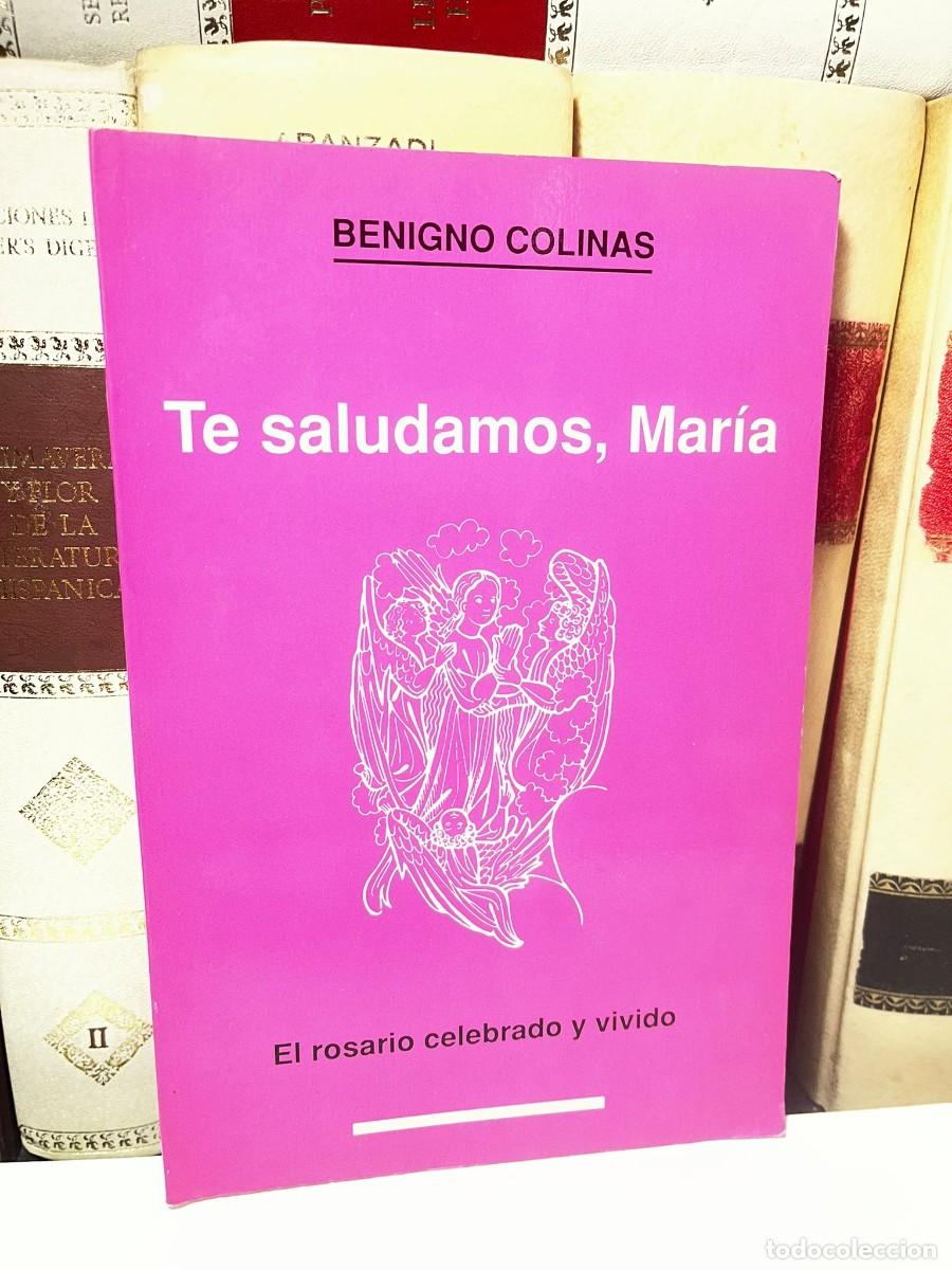 Libros de segunda mano: TE SALUDAMOS, MAR&Iacute;A. El rosario celebrado y vivido. Benigno Colinas. 1991.