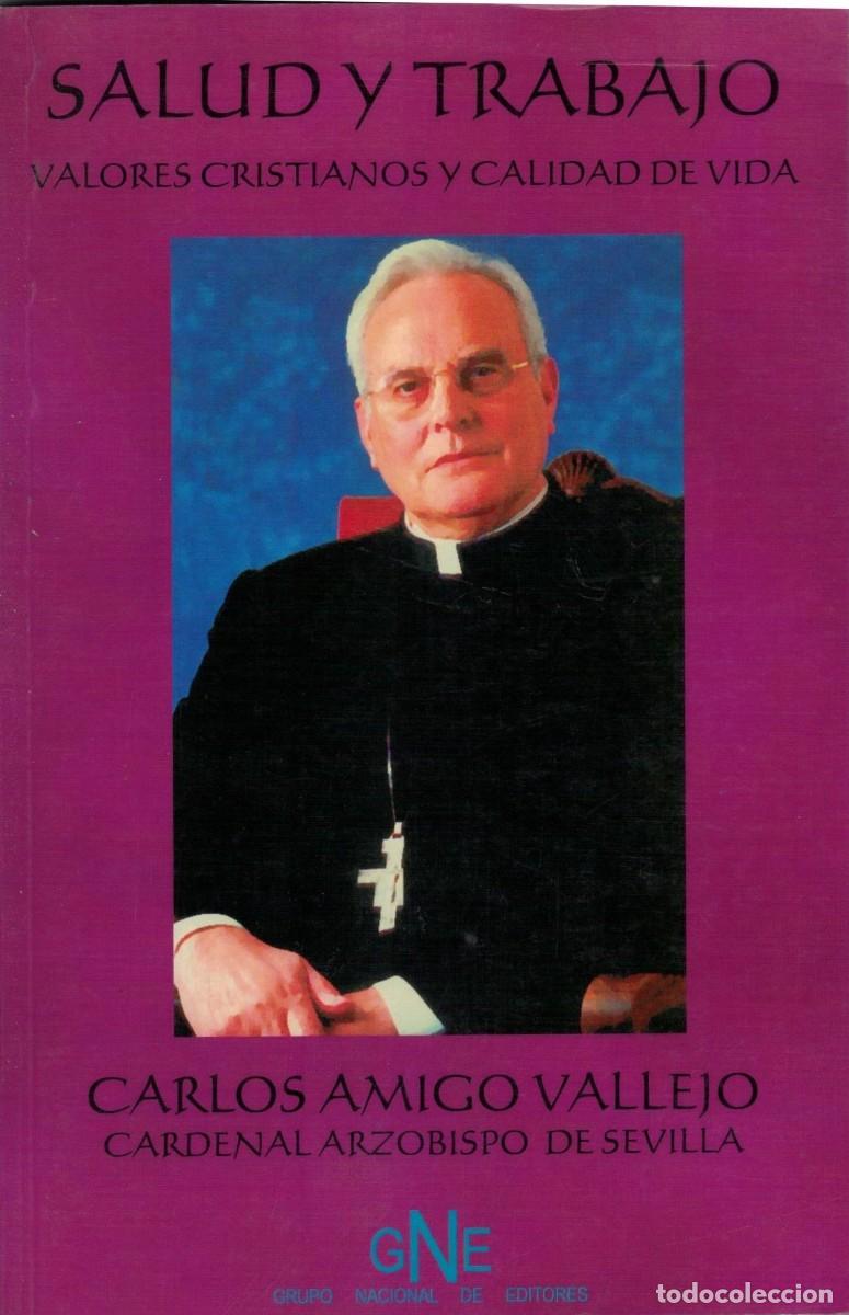 Libros de segunda mano: SALUD Y TRABAJO VALORES CRISTIANOS Y CALIDAD DE VIDA. AMIGO VALLEJO, CARLOS. RE-297