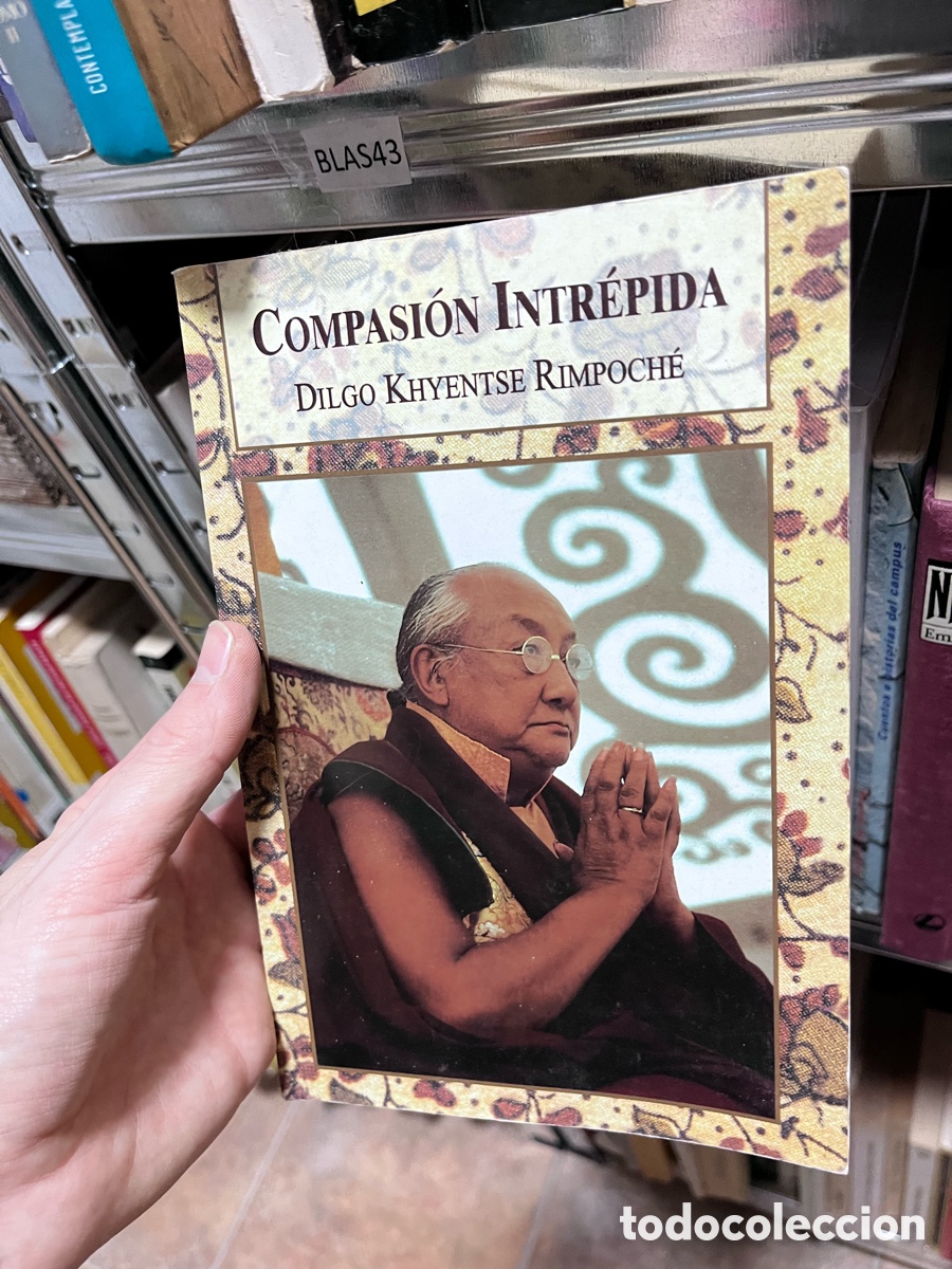 Libros de segunda mano: BLAS43 COMPASI&Oacute;N INTR&Eacute;PIDA DILGO KHYENTSE RIMPOCH&Eacute;