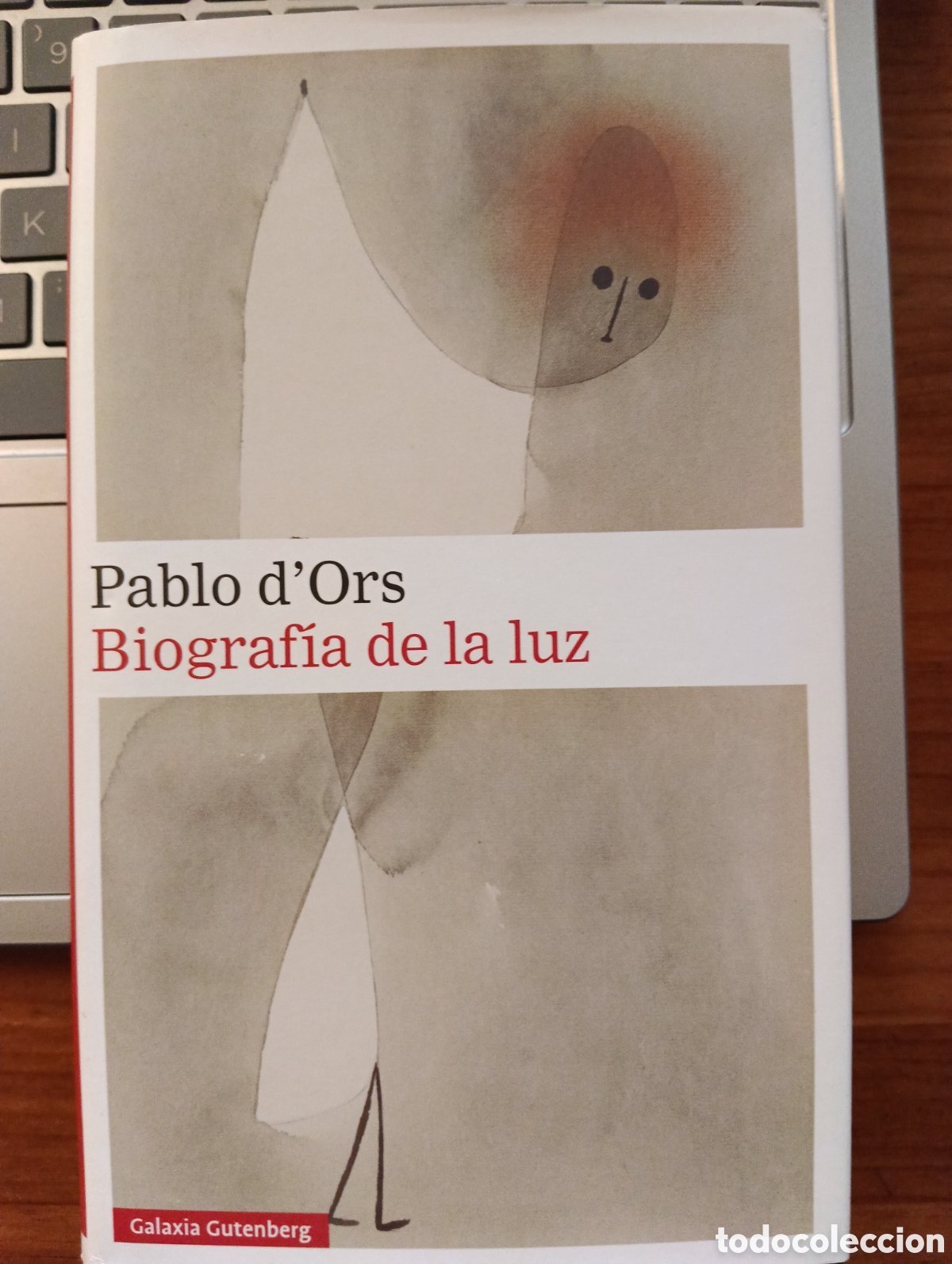 Libros de segunda mano: Biograf&iacute;a de la luz, Pablo d,Ors, Galaxia Gutemberg