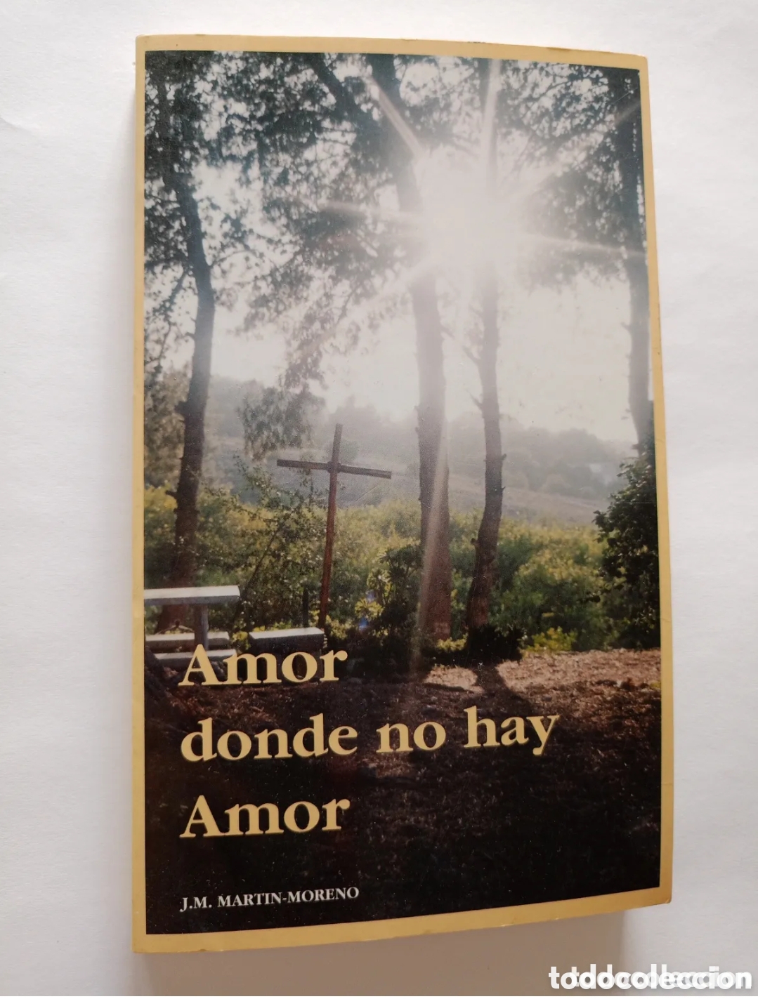 Libros de segunda mano: Amor donde no hay amor Madre Mar&iacute;a Seiquer Gaya