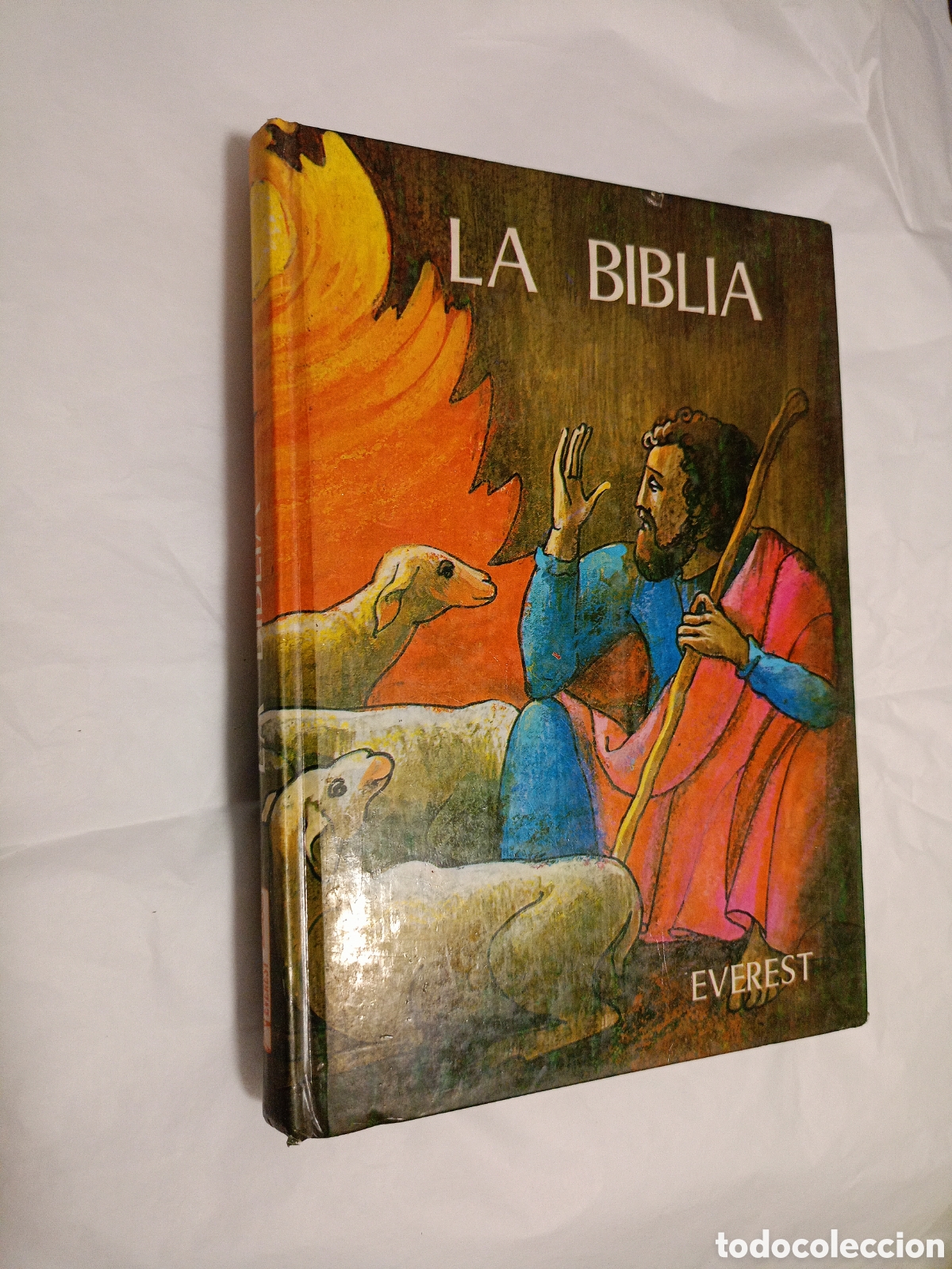 Libros de segunda mano: La Biblia de Everest