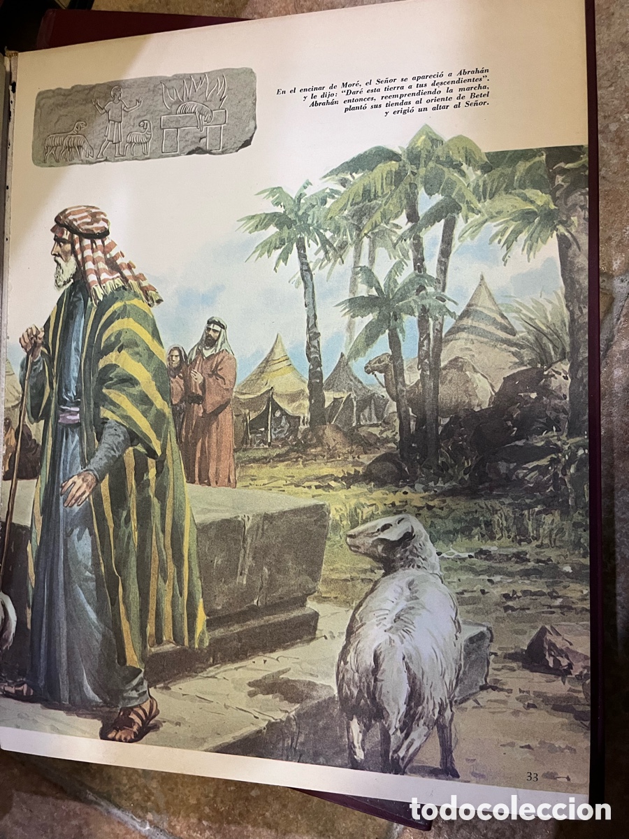 Libros de segunda mano: Blas70A LA BIBLIA. 5 TOMOS (COMPLETO) - C&Eacute;SAR ANGELINI (CODEX) - Foto 3