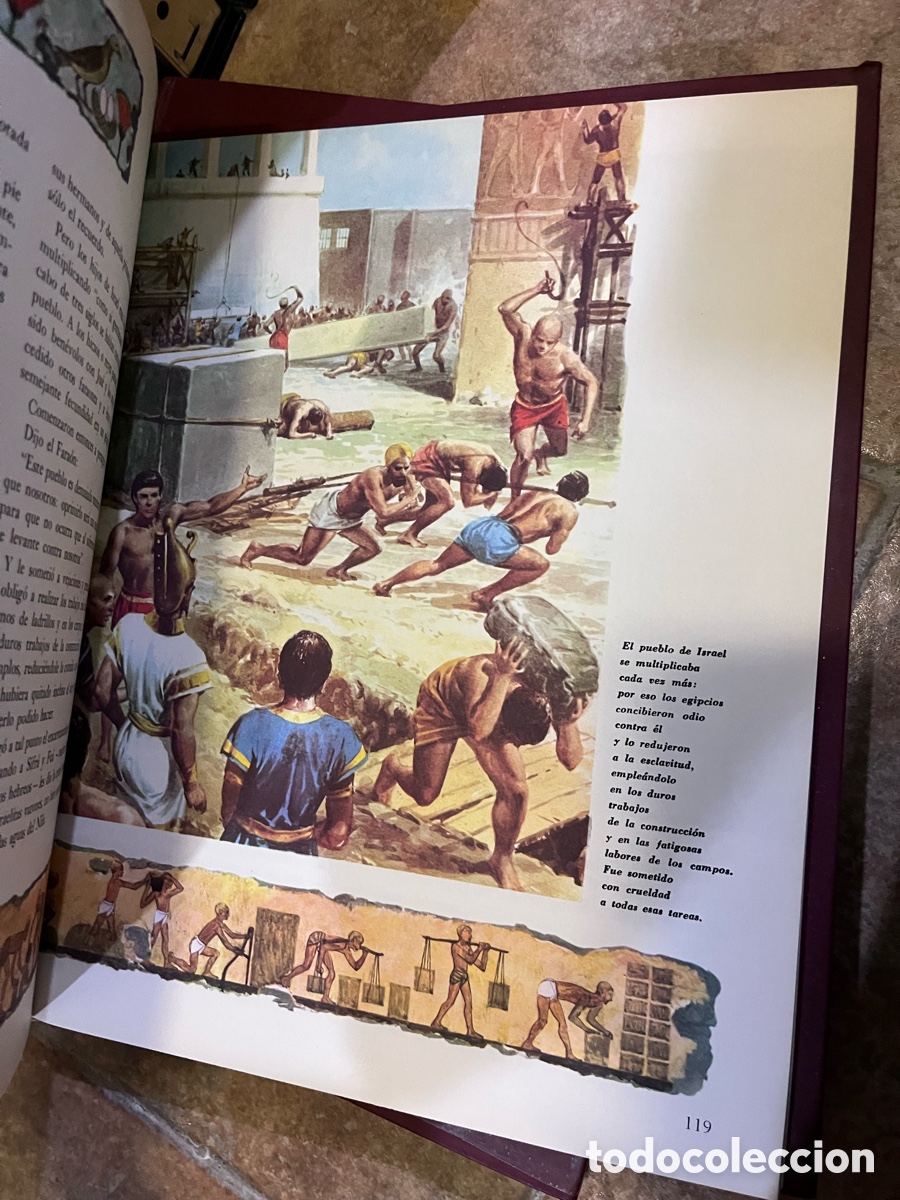 Libros de segunda mano: Blas70A LA BIBLIA. 5 TOMOS (COMPLETO) - C&Eacute;SAR ANGELINI (CODEX) - Foto 4