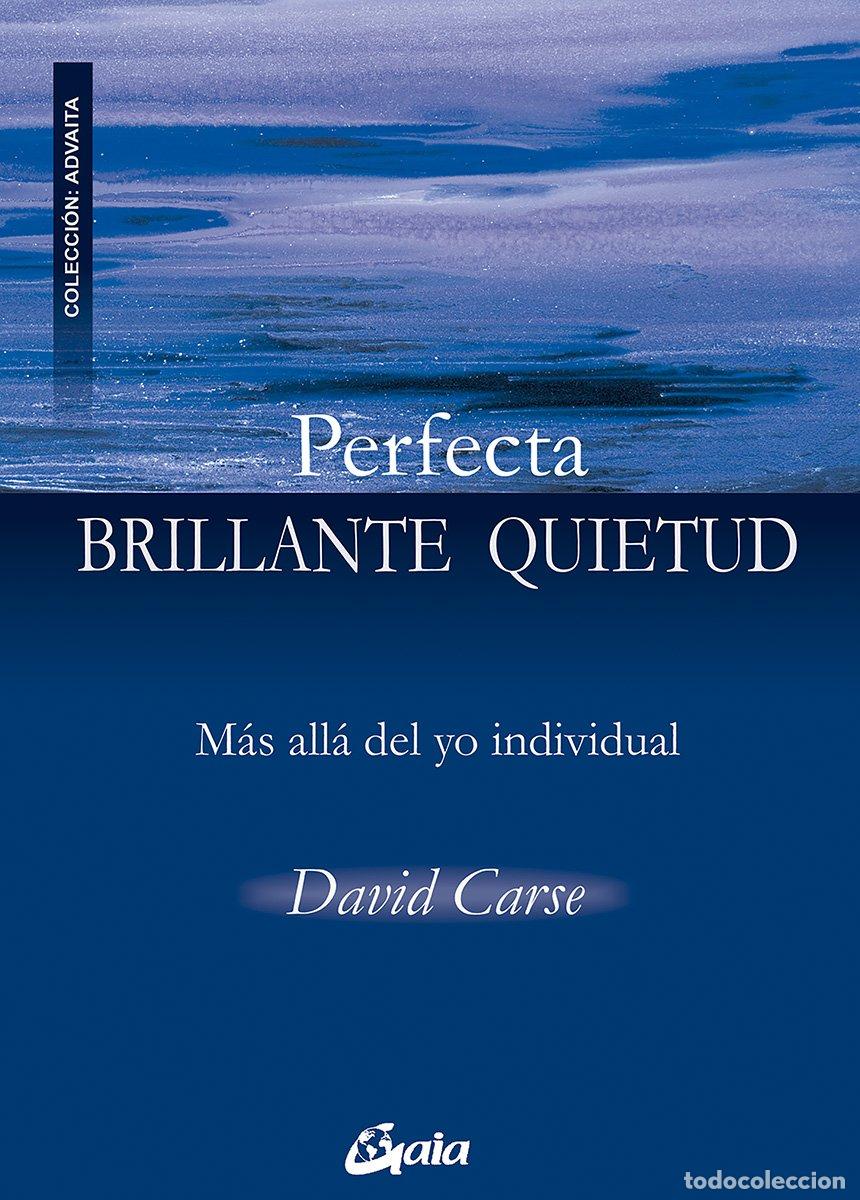 Libros de segunda mano: Perfecta Brillante Quietud: M&aacute;s All&aacute; del Yo Individual - David Carse - Gaia - Advaita