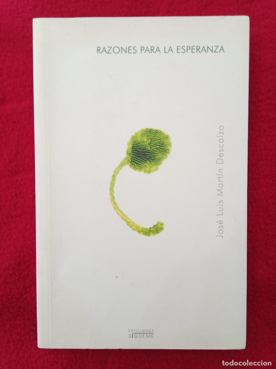 Libros de segunda mano: Razones Para La Esperanza - Jos&eacute; Luis Mart&iacute;n Descalzo - Edit. Ediciones S&iacute;gueme SAU. 2008