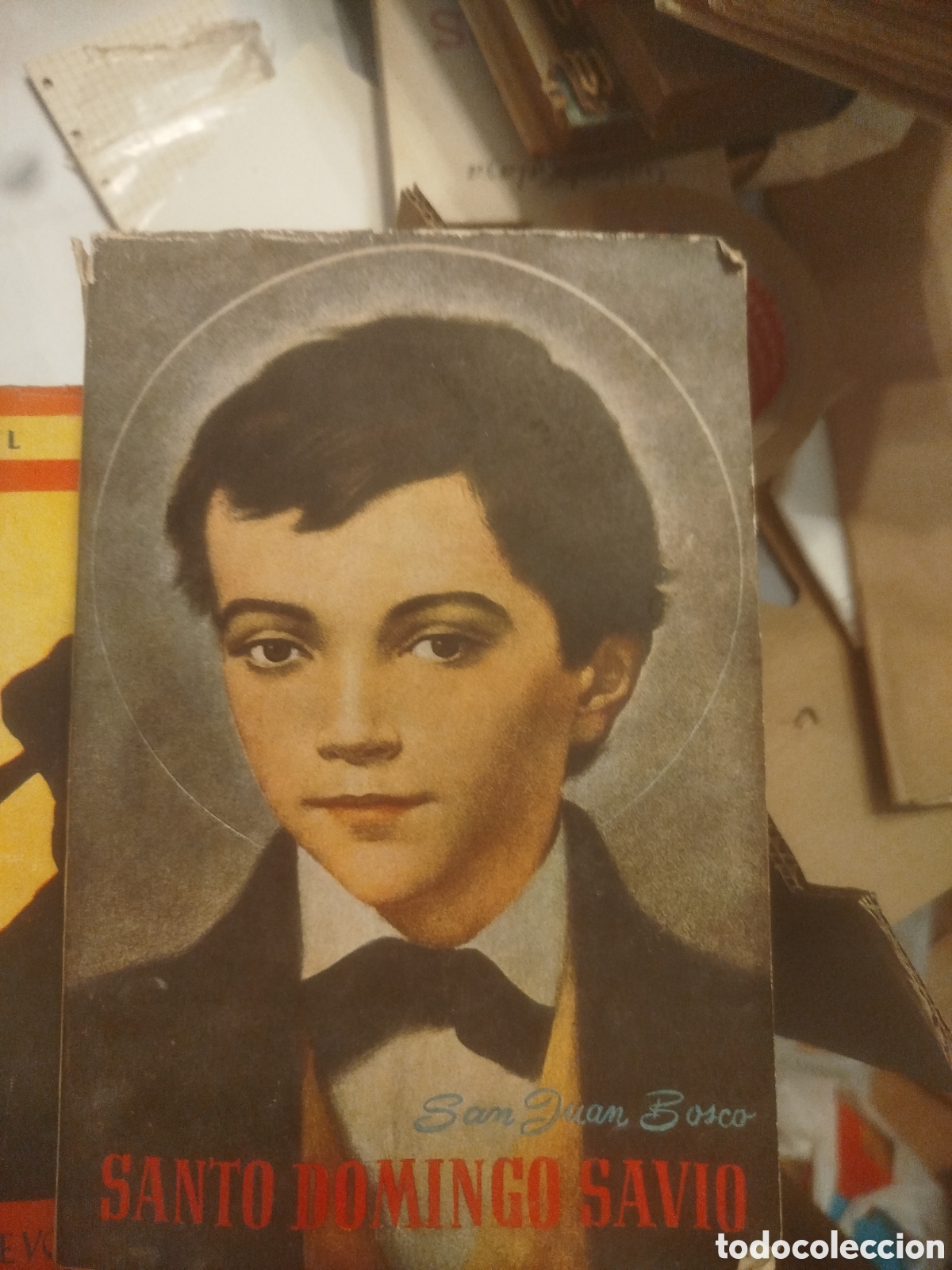 Libros de segunda mano: San juan Bosco Santo Domingo Savio