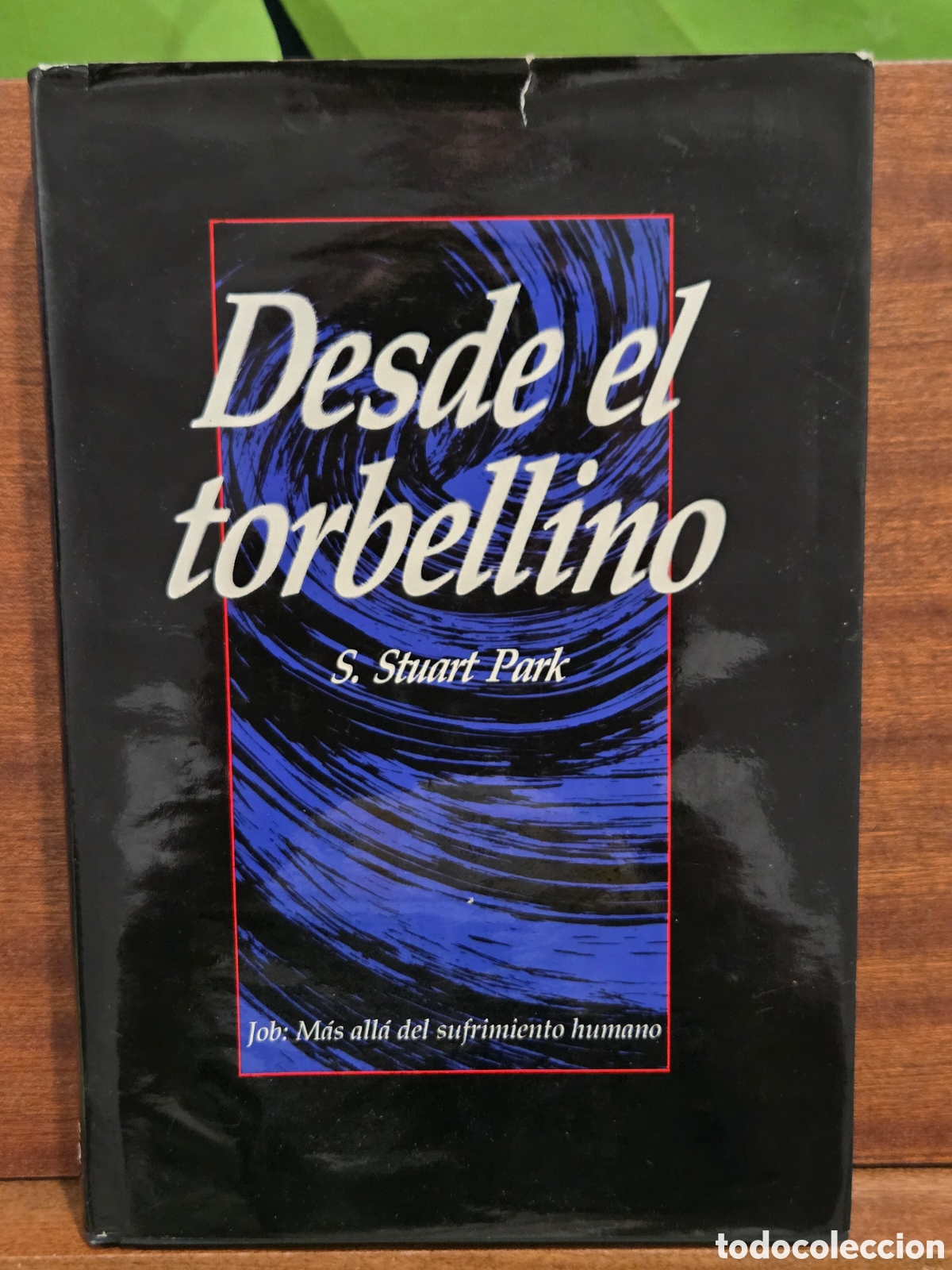 Libros de segunda mano: &rdquo;&rdquo;DESDE EL TORBELLINO&rdquo;&rdquo;...JOB. M&Aacute;S ALLA DE SUFRIMIENTO HUMANO...S. STUART PARK...ANDAMIO...1991...