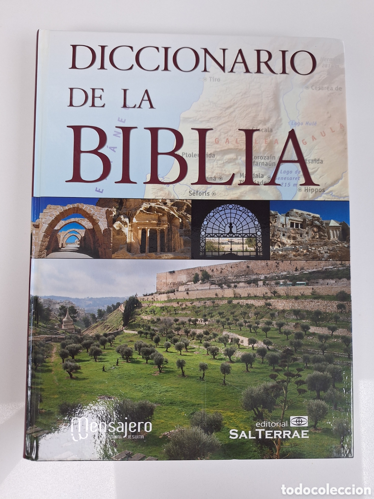 Libros de segunda mano: Diccionario de la Biblia (Mensajero/Sal Terrae)