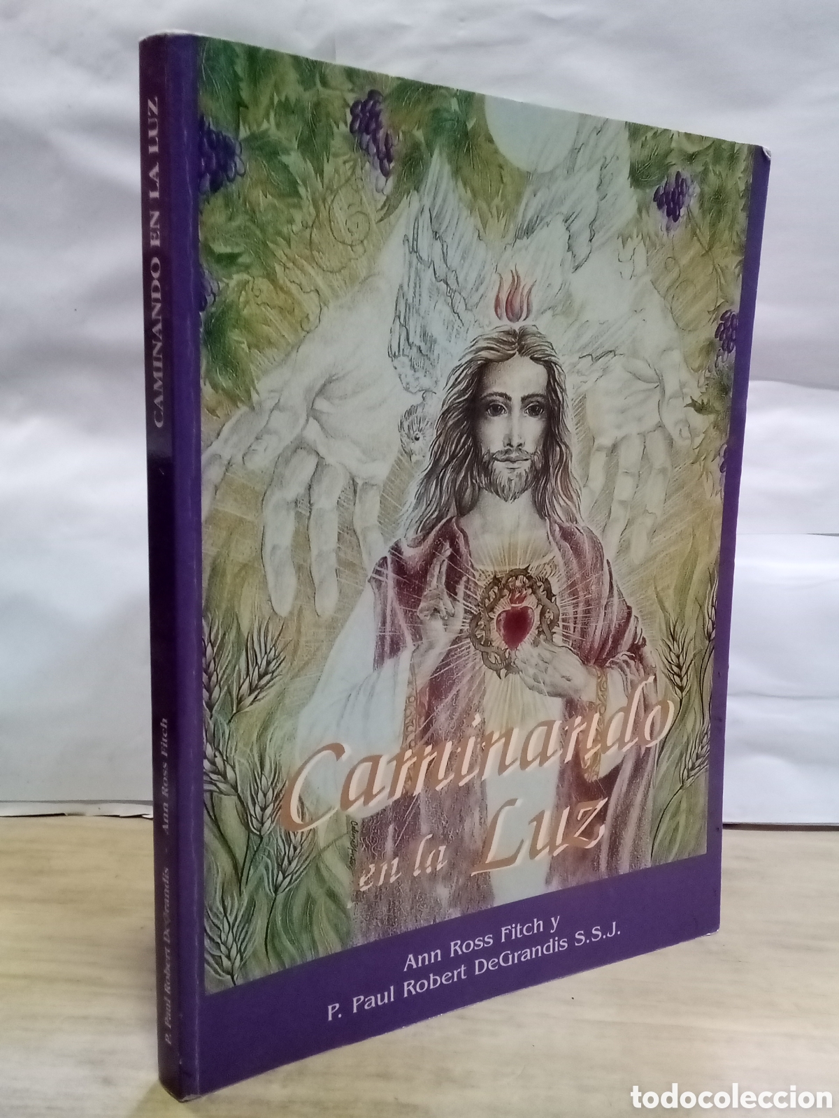 Gebrauchte B&uuml;cher: Ann Ross Fitch y P. Paul Robert DeGrandis : Caminando en la luz
