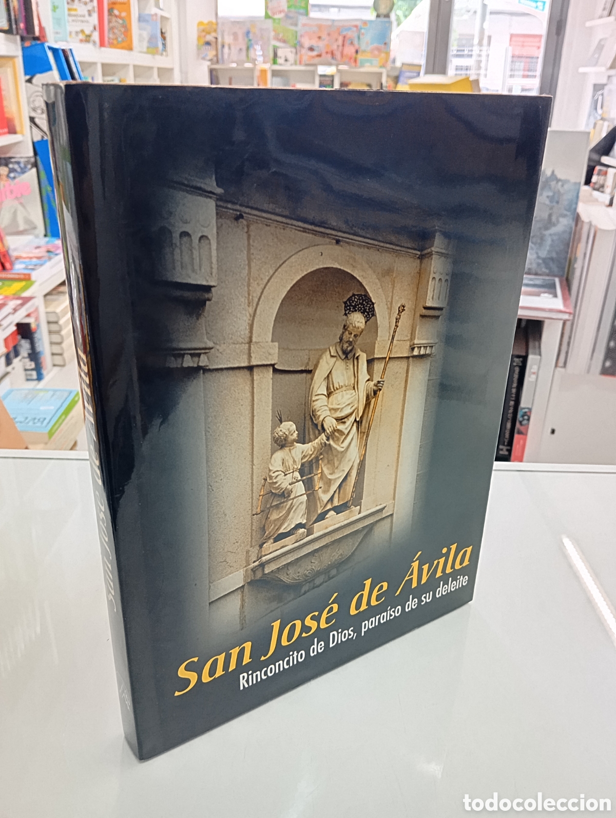 Libros de segunda mano: San Jos&eacute; de &Aacute;vila Rinconcito de Dios para&iacute;so de su deleite Vida de Santa Teresa en este Monasterio