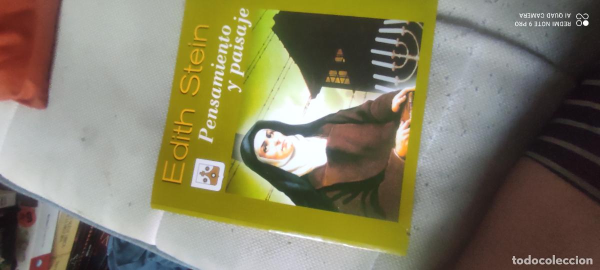 Libros de segunda mano: Pensamiento y paisaje. Santa Teresa Benedicta de la Cruz. Edith Stein. Fco. J. Sancho Ferm&iacute;n