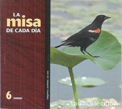 Libros de segunda mano: 6 LA MISA DE CADA DIA A&Ntilde;O 2012 EDITORIAL CLARET