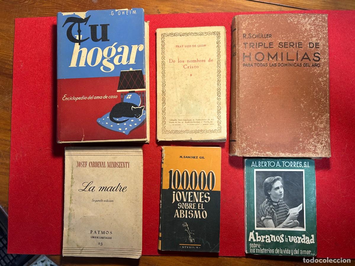 Libros de segunda mano: La Madre-Abranos la Verdad-Jovenes sobre el Abismo-Tu Hogar-Homilias-de los Nombres de Cristo lote 6
