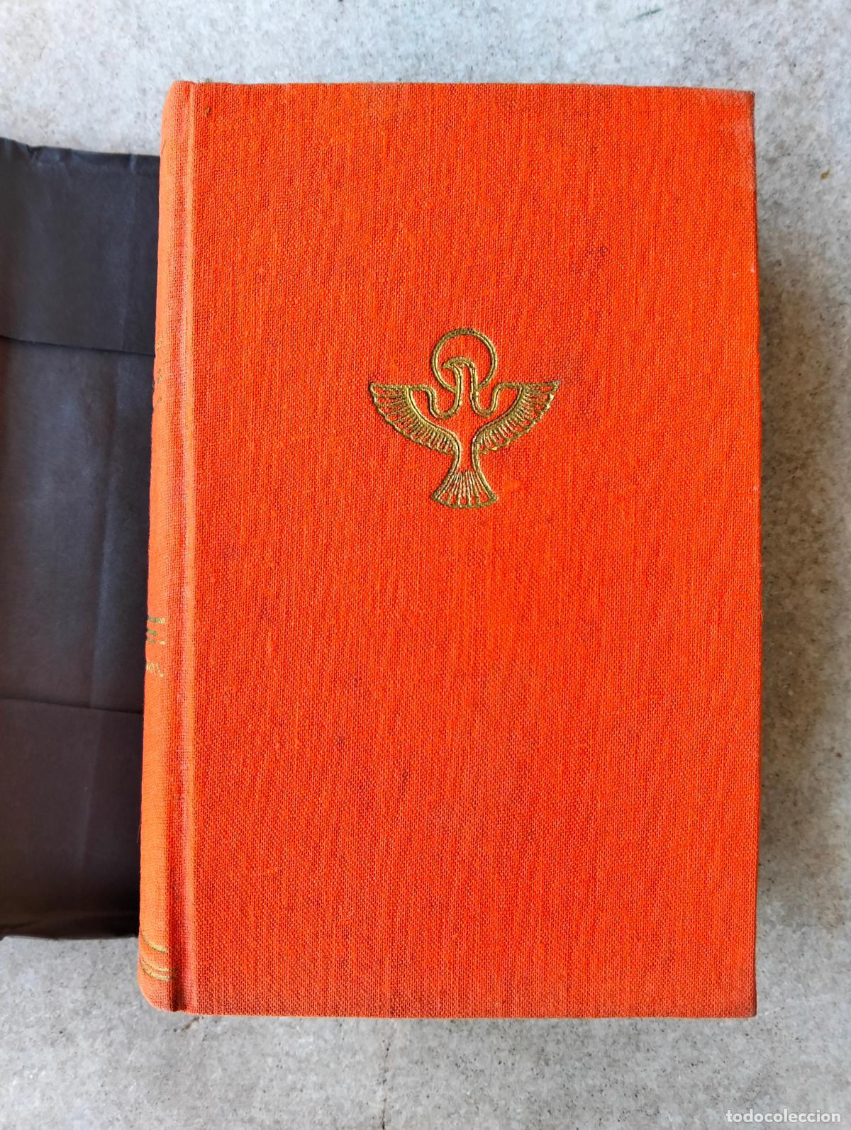 Second hand books: Sed luz meditaciones lit&uacute;rgicas para los domingos ferias del a&ntilde;o eclesi&aacute;stico benito baur TIII 1946