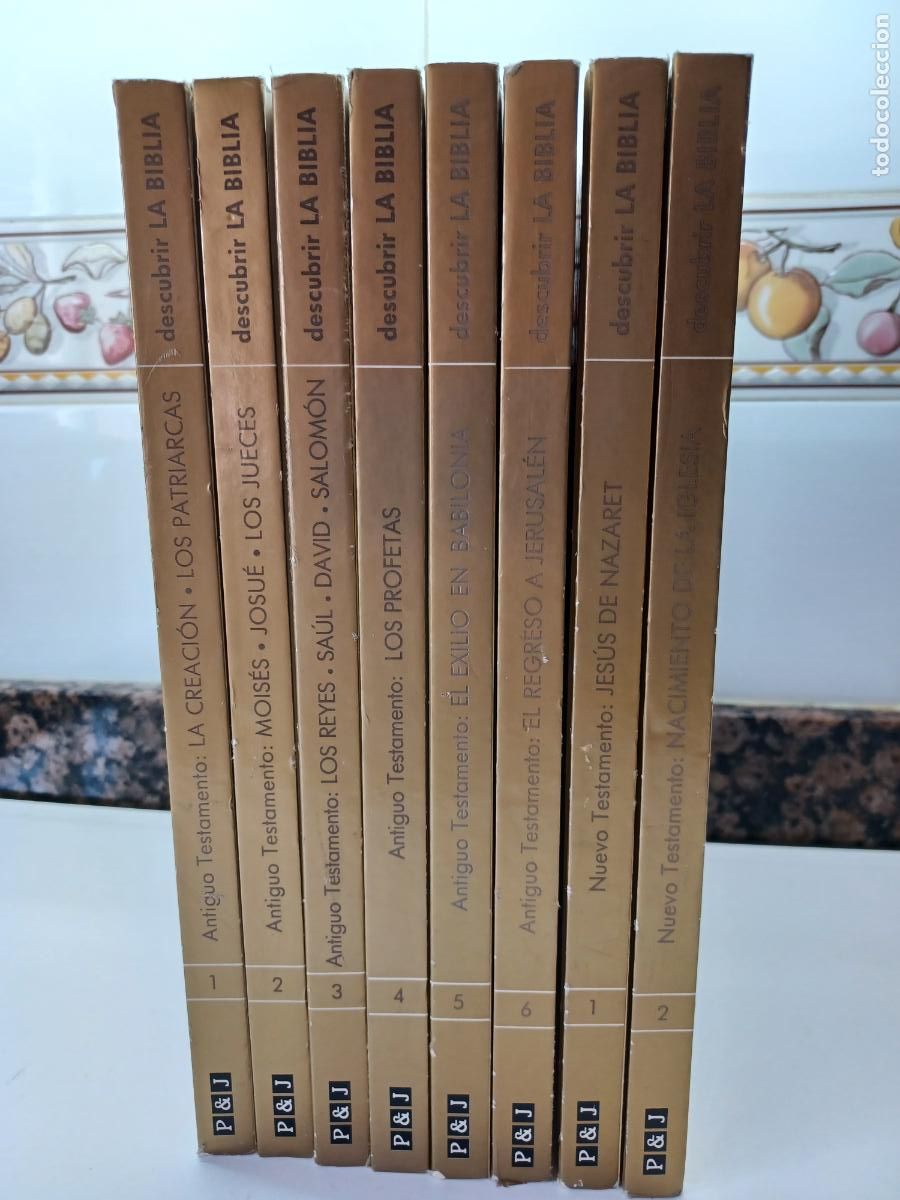Libros de segunda mano: DESCUBRIR LA BIBLIA PLAZA & JAN&Eacute;S