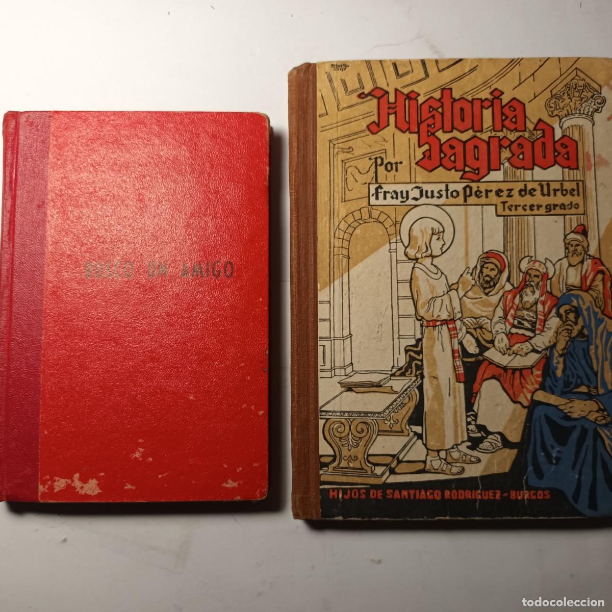 Libros de segunda mano: Historia Sagrada , Busco a un amigo Lote L - 416