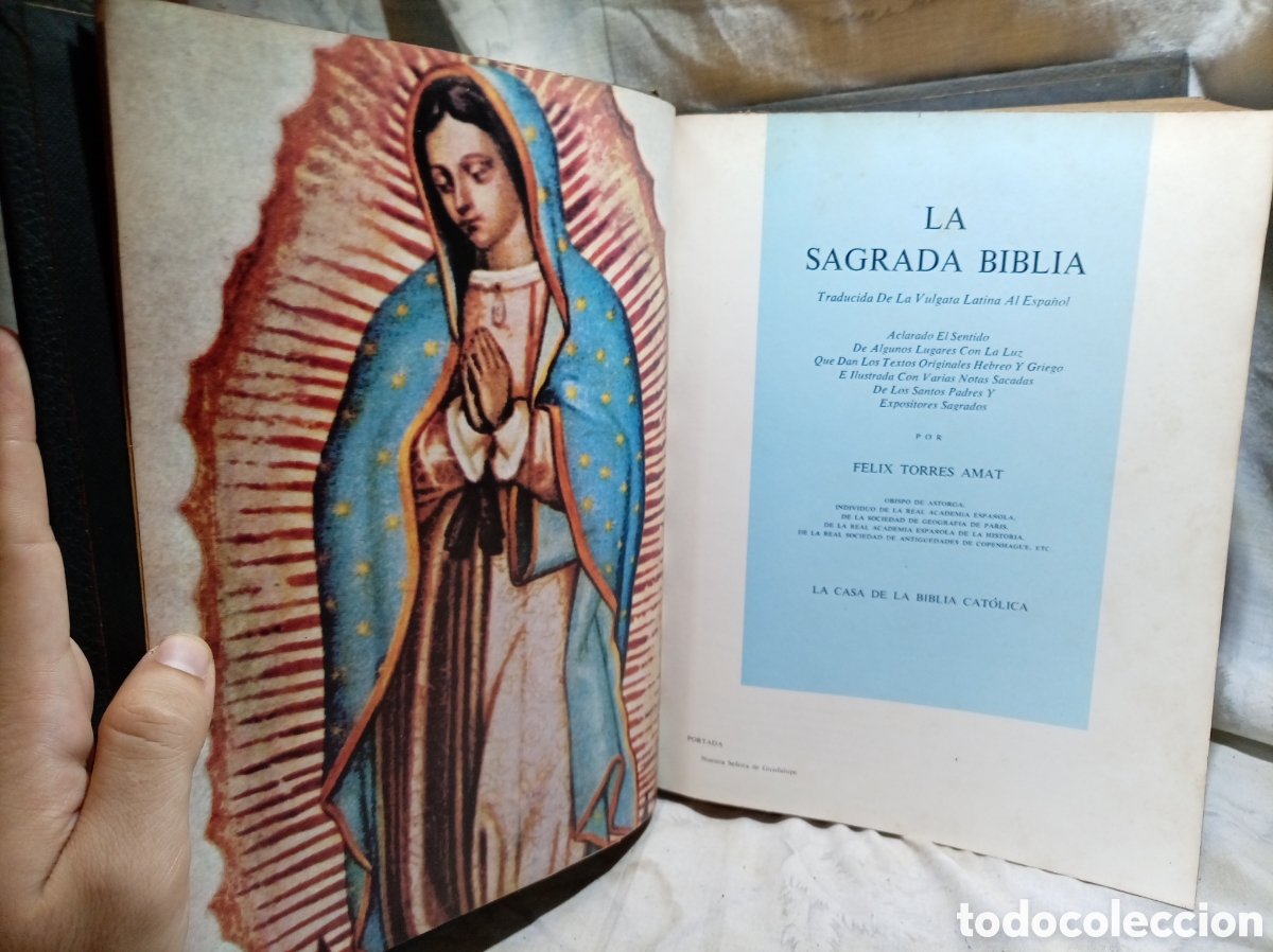 Libros de segunda mano: LA SAGRADA BIBLIA POR F&Eacute;LIX TORRES AMAT, LA CASA DE LA BIBLIA CAT&Oacute;LICA