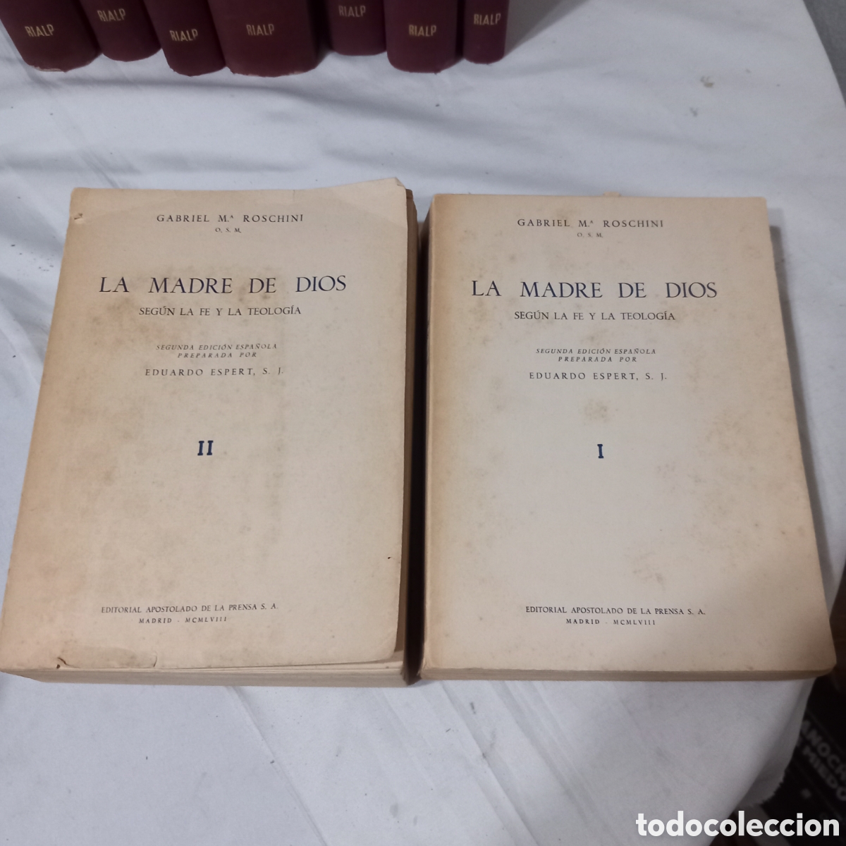 Libros de segunda mano: LA MADRE DE DIOS (I y II) /SEGUN LA F&Eacute; Y LA TEOLOG&Iacute;A(GABRIEL M&ordf; ROSCHINI
