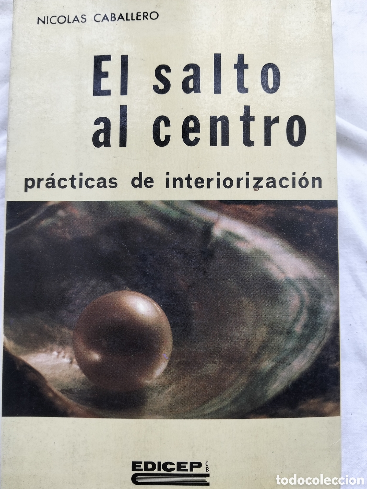 Libros de segunda mano: EL SALTO SL CENTRO NICOLAS CABALLERRO