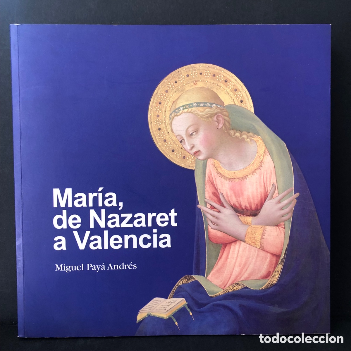 Libros de segunda mano: Mar&iacute;a Nazaret a Valencia.Miguel Pay&aacute; Andr&eacute;s