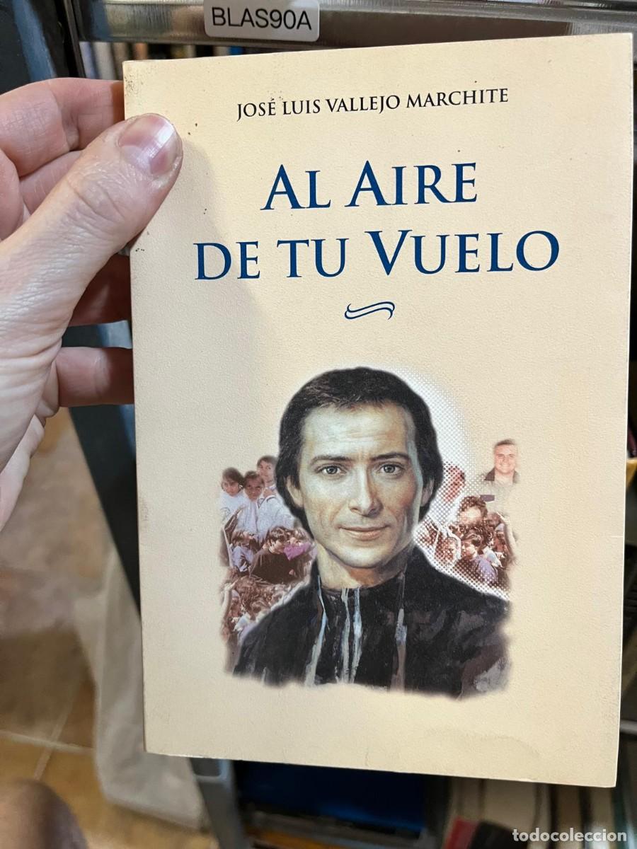 Libros de segunda mano: BLAS90A &ndash; Al aire de tu vuelo &mdash; Jos&eacute; Luis Vallejo Marchite &mdash; Ediciones Encuentro.