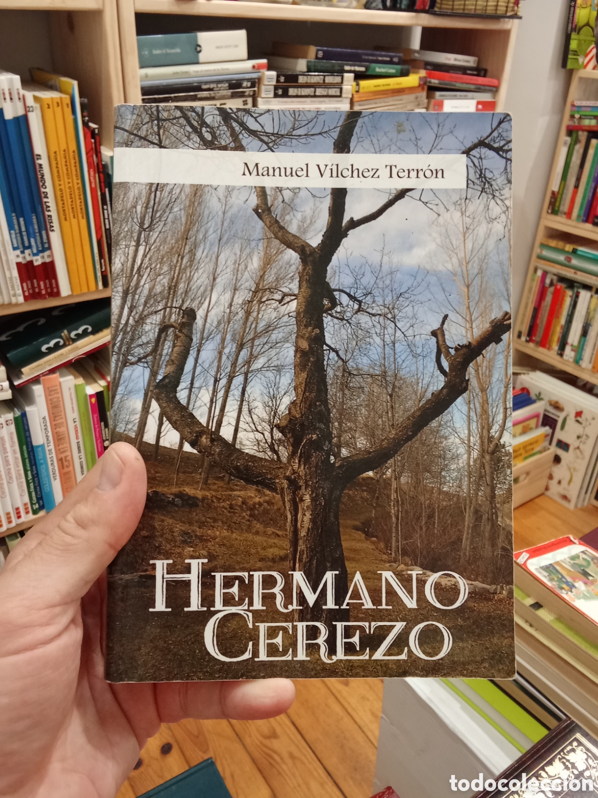Libros de segunda mano: Hermano cerezo Firmado - Manuel Vilchez Terron