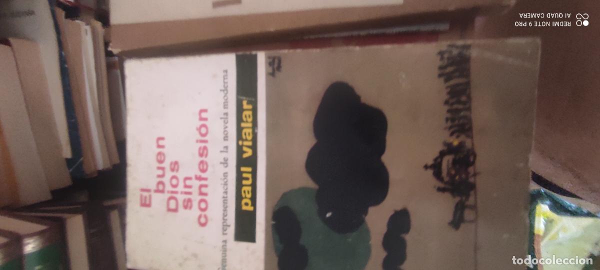 Libros de segunda mano: El buen Dios sin confesi&oacute;n-Paul Vialar