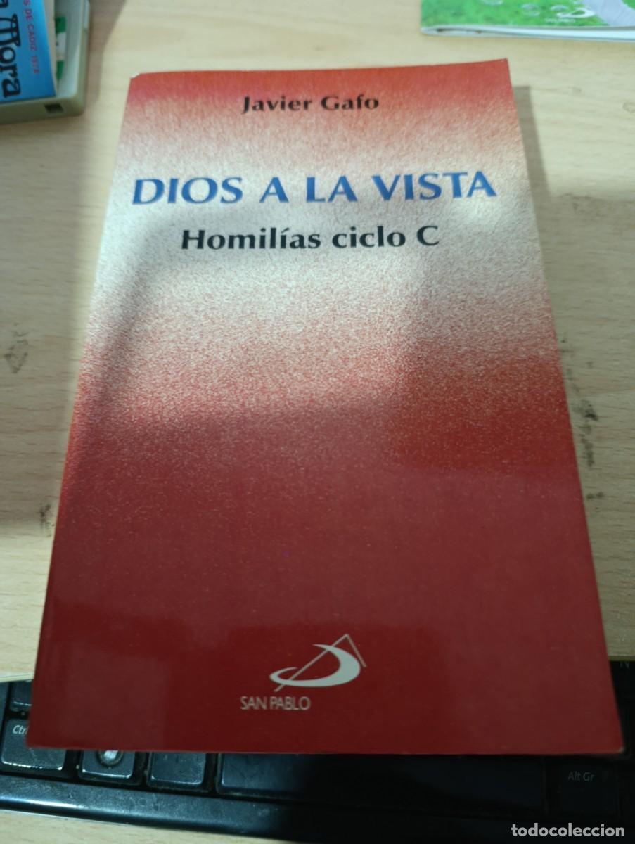 Libros de segunda mano: DIOS A LA VISTA HOMILIAS CICLO C. JAVIER GAFO EST19B4