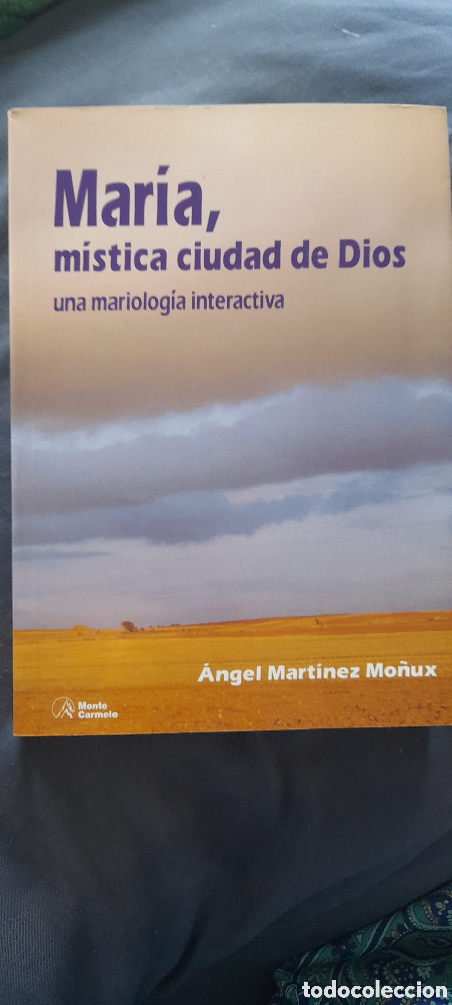 Libros de segunda mano: Mar&iacute;a, m&iacute;stica ciudad de Dios. Angel Mart&iacute;nez Mu&ntilde;ux