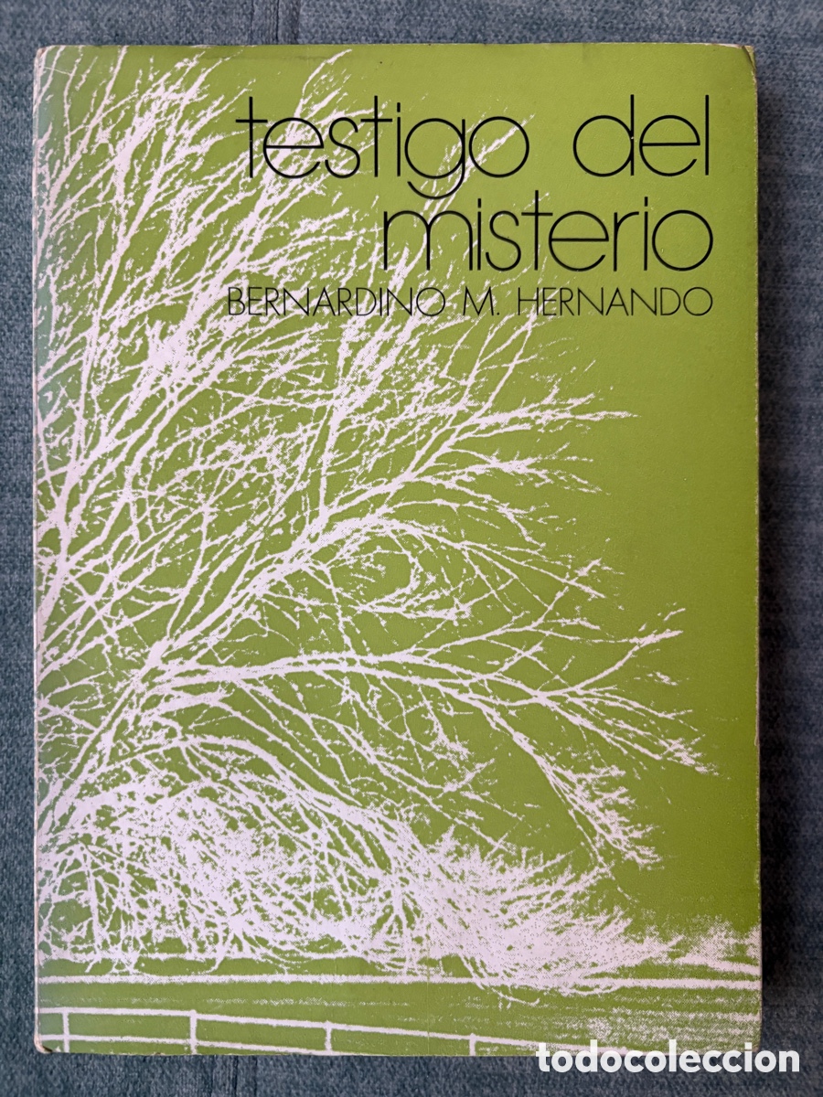 Libros de segunda mano: (L903) Testigo del misterio. Mar&iacute;a Amor, novicia a&ntilde;os 40 - B.M.Hernando