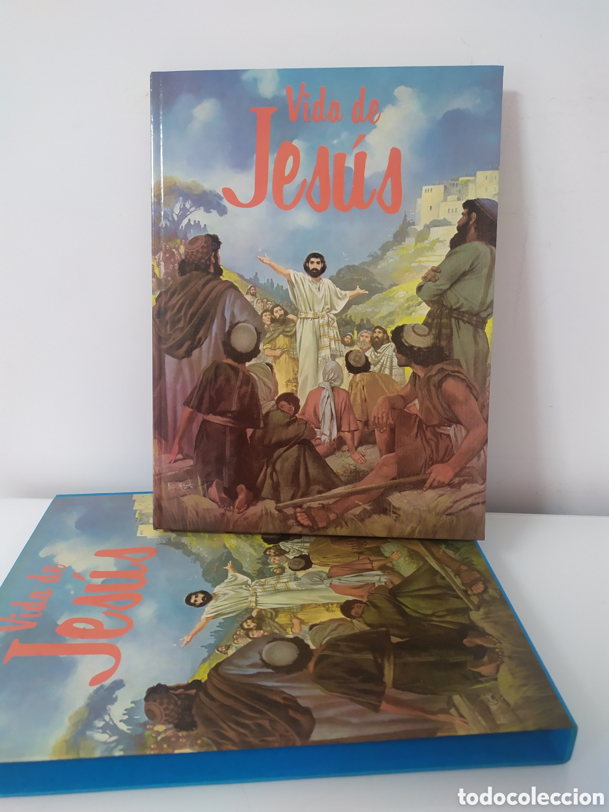 Libros de segunda mano: VIDA DE JES&Uacute;S - EDITORIAL MOLINO - ILUSTRACIONES DE ANGUS MCBRIDE - BARCELONA / 1980