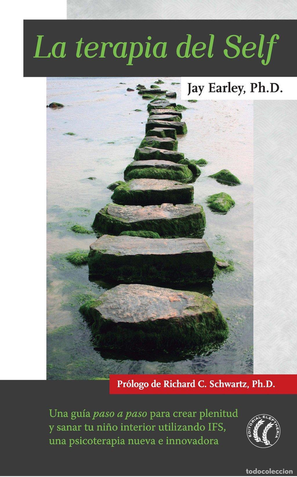 Libros de segunda mano: La Terapia del Self - Jay Earley - Editorial Eleftheria